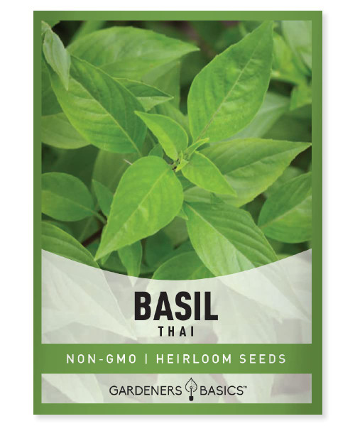 , Thai Basil Seeds for Planting Herbs - Heirloom Non-GMO Herb Plant Seeds for Home Herb Garden Indoors, Outdoors, and Hydroponics