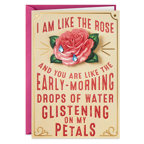 Shoebox Naughty Anniversary Card, or Love Card for Significant Other (Dew Me)