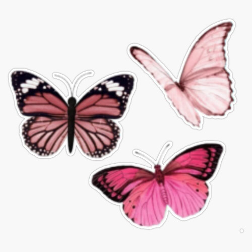 Pink Butterflies Sticker Bumper Sticker Vinyl Decal 5"