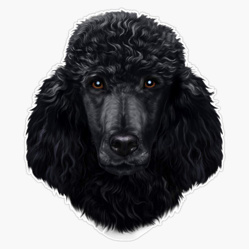 Black Poodle Dog Face Vinyl Waterproof Sticker Decal Car Laptop Wall Window Bumper Sticker 5" Black Poodle Dog Face Vinyl Waterproof Sticker Decal Car Laptop Wall Window Bumper Sticker 5"
