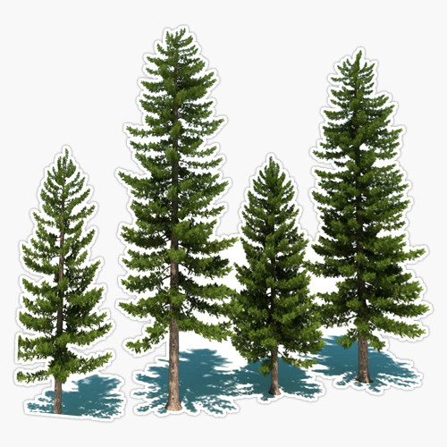 Among The Trees Vinyl Decal Sticker Car Waterproof Car Decal Bumper Sticker 5"
