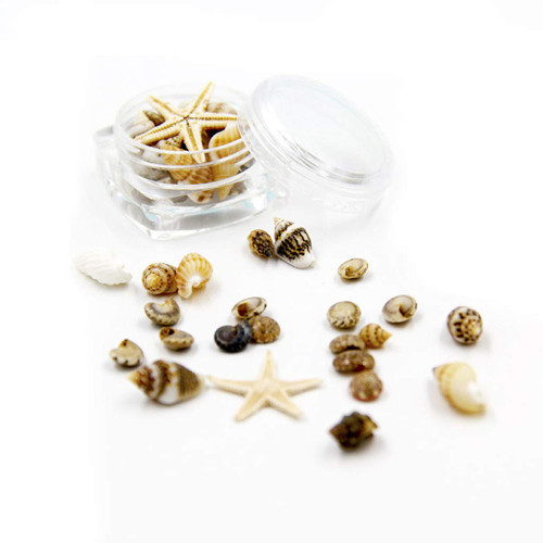 Mixed Beach Seashells Starfish Natural Large Conch for Shell Starfish Colorful Sea for Shell for Beach Party Fish for Ta