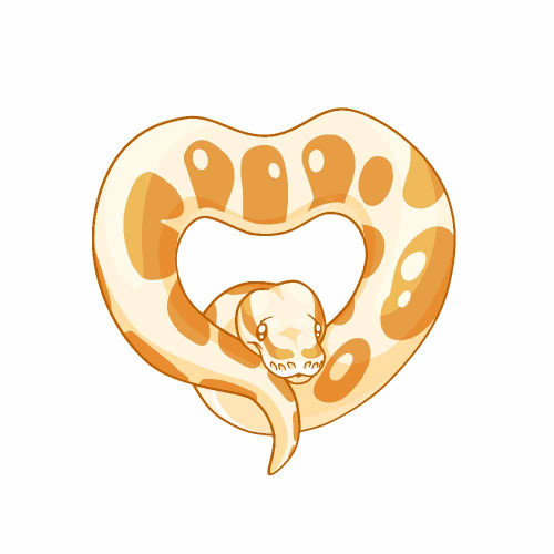 Ball Python Heart Snake Decal -Indoor and Outdoor use! (Albino)