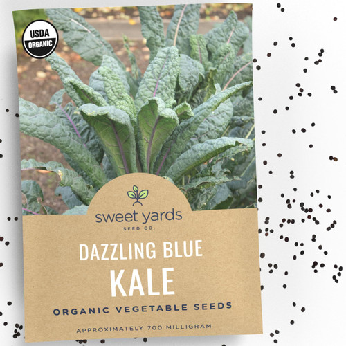 Organic Dazzling Blue Kale Seeds - Seed Packet of Approx 250 Open Pollinated Non-GMO Pure Fresh Seeds for Planting - Sweet Yards Seed Co. Organic Dazzling Blue Kale Seeds - Seed Packet of Approx 250 Open Pollinated Non-GMO Pure Fresh Seeds for Planting - Sweet Yards Seed Co.