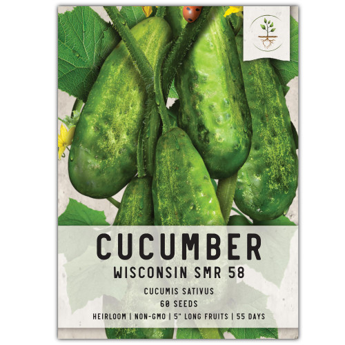 , Wisconsin SMR 58 Pickling Cucumber Seeds for Planting (Cucumis sativus) , Wisconsin SMR 58 Pickling Cucumber Seeds for Planting (Cucumis sativus)