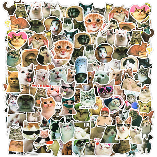 100Pcs Funny Cat Stickers for Kids Teens Adults, Cute Cat Meme Stickers Waterproof Vinyl Aesthetic Stickers Water Bottle Stickers for Cat Lovers Scrapbook Phone