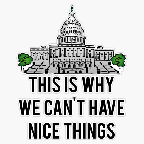 Magnet This is Why We Can't Have Nice Things Magnet Vinyl Decal Sticker 5"