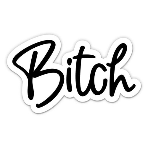 Bitch Stickers - 2 Pack of 3" Stickers - Waterproof Vinyl for Car, Phone, Water Bottle, Laptop - Badass Rude Decals (2-Pack)