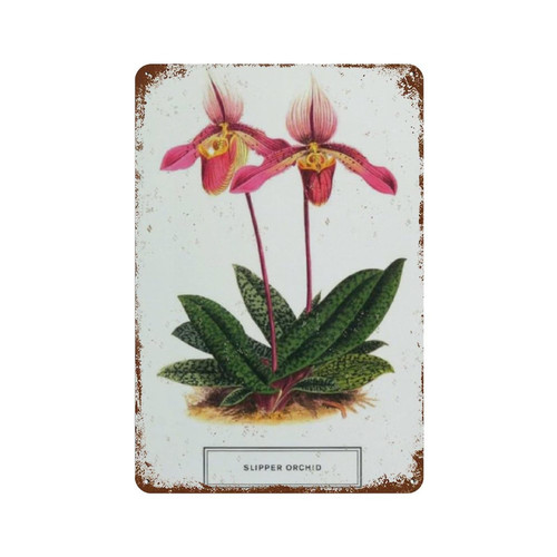 Retro Tin Sign Botany Garden Slipper Orchid Flower Metal Tin, Home Bar Shop Decorations Coffee Vintage Sign Gift 8X12 Inch