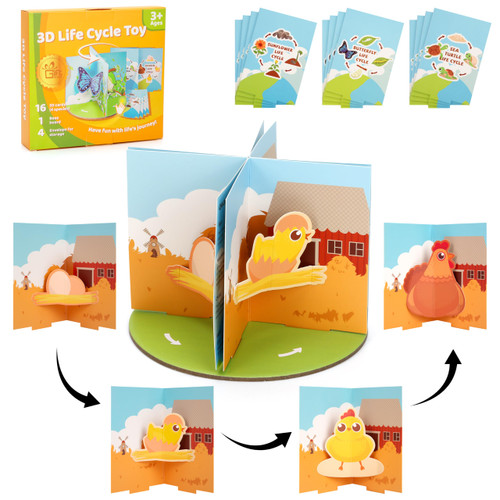 3D Life Cycle Toys for Kids, Montessori Animal & Plant Toys with Butterfly, Chicken, Life Cycle Learning & Education Toys, Preschool Classroom Science Learning Activities for Toddlers 3-6