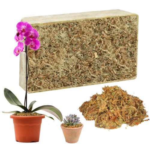 5.3 oz Sphagnum Moss for Plants, Premium Natural Long Fibered Dried Moss Potting, Sphagnum Peat Moss Bulk for Orchids Succulent Carnivorous Potted Plant Reptiles Medium Sarracenia 5.3 oz Sphagnum Moss for Plants, Premium Natural Long Fibered Dried Moss Potting, Sphagnum Peat Moss Bulk for Orchids Succulent Carnivorous Potted Plant Reptiles Medium Sarracenia