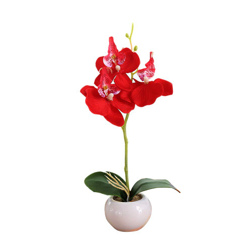 Artificial Orchids with Vase Plastic Phalaenopsis Orchid Flower Plant Pot Faux Flowers Arrangement for Home Kitchen Table Centerpiece Decor Red Artificial Orchids with Vase Plastic Phalaenopsis Orchid Flower Plant Pot Faux Flowers Arrangement for Home Kitchen Table Centerpiece Decor Red