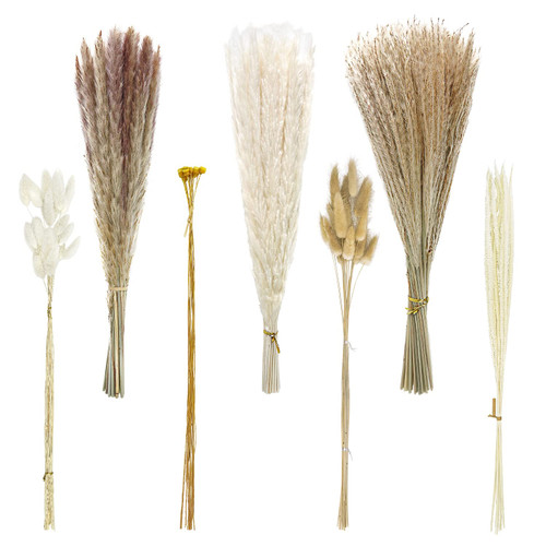 135pcs Dried Pampas Grass Dried Flowers Home Decor Arrangement Plant Wedding Part Dried Flowers Decorations Natural Boho Pampas Grass Bouquet White Small Fluffy Reed Bunny Tails