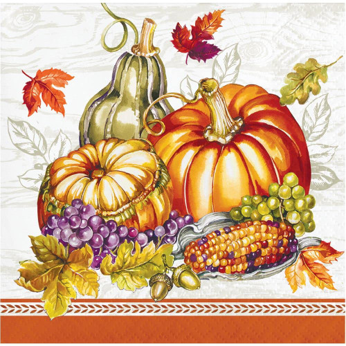 Fall Pumpkin Harvest Party Napkins - 32 Count | 2 packs of 16CT Beverage Napkins | Autumn Thanksgiving Friendsgiving Theme | Plentiful Cornucopia Design, 5" x 5"