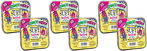 C&S 6 Pack of High Energy Suet, 11.75 Ounces Each, for Year Round Wild Bird Feeding