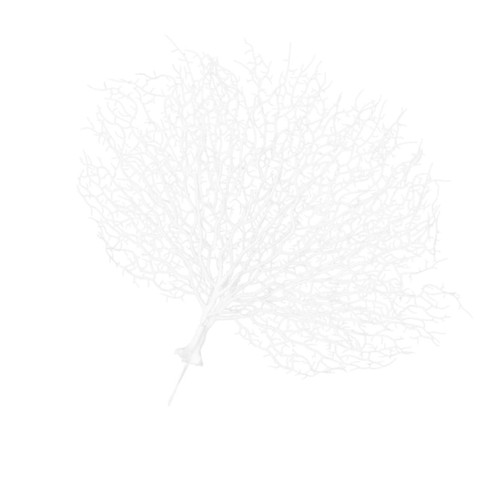 1pc Aquarium Plants Fish Tank Coral Branches for Decoration Fake Coral Branch Artificial Tree Branches Fake Plant Decor Flower Arrangement White Mori Department 1pc Aquarium Plants Fish Tank Coral Branches for Decoration Fake Coral Branch Artificial Tree Branches Fake Plant Decor Flower Arrangement White Mori Department