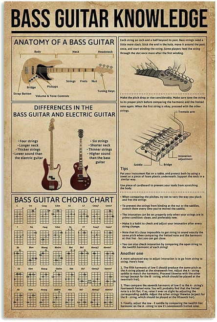 Bass Guitar Knowledge Plaques Guitarist Favorites Metal Sign Wall Aluminum Signs For Music Classroom Guitar Beginner Study Guide Tin Poster Home Club Office Decor 8x12 Inches