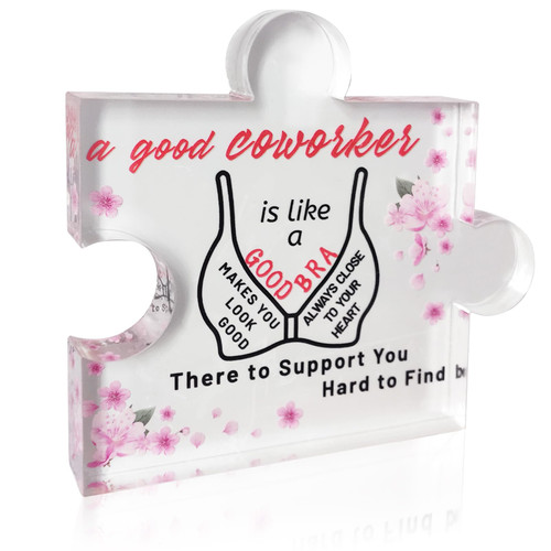 Appreciation Gifts for Women, Acrylic Puzzle Plaque Thank You Gift, Inspirational Keepsake for Coworkers Colleagues Boss Employee Office Desk Decor Appreciation Gifts for Women, Acrylic Puzzle Plaque Thank You Gift, Inspirational Keepsake for Coworkers Colleagues Boss Employee Office Desk Decor