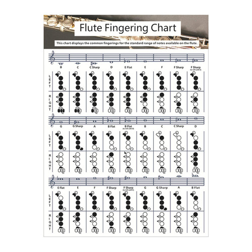 Flute Chord Chart, Durable Portable Fingering Practice White Chord Chart For Flute Fingering Practice Chord Chart Beginner Student for Teaching or Group Study(Size:S)