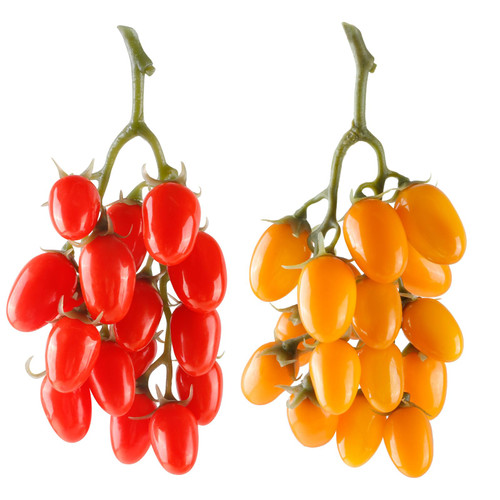 Artificial Tomato String, 2 Pack Simulation Artificial Lifelike Fake Fruits Vegetable Photography Props Home Kitchen Harvest Decoration (Red & Yellow, 2pcs) Artificial Tomato String, 2 Pack Simulation Artificial Lifelike Fake Fruits Vegetable Photography Props Home Kitchen Harvest Decoration (Red & Yellow, 2pcs)