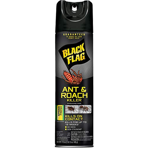 Black Flag Ant and Roach Killer Aerosol Spray, Spring Fresh Scented, 17.5-Ounce