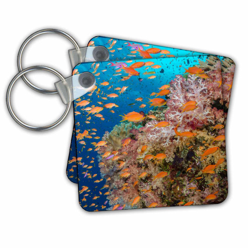 Key Chains Fiji. Colorful Reef with coral and Anthias (kc-278093-1)