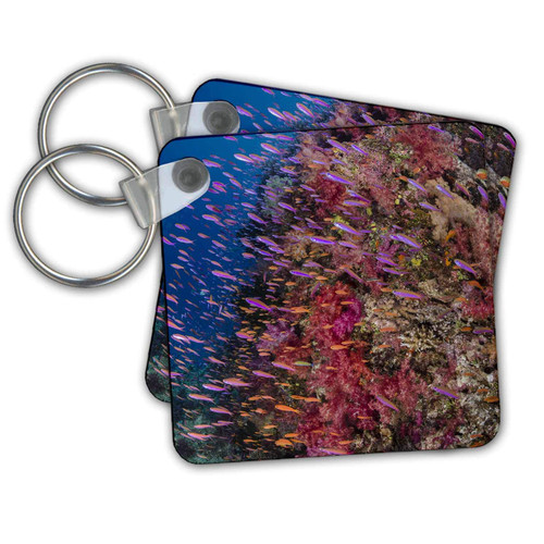 Key Chains Fiji. Reef with coral and Anthias (kc-314008-1)
