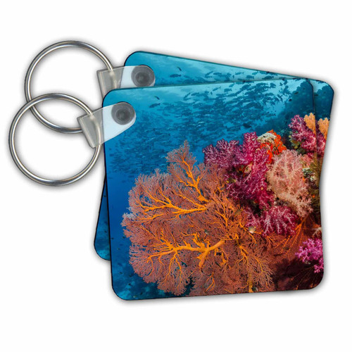 Key Chains Fiji. Fish and coral reef. (kc-278096-1)