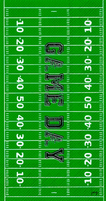 IHR 3-Ply Paper Napkins, 16-Count Guest Size, Game Day Field