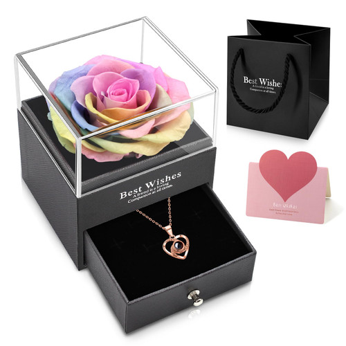 Preserved Red Real Rose with Love You Necklace in 100 Languages Gift Set, Enchanted Real Rose Flower for Valentine's Day Anniversary Wedding Bthday Romantic Gifts for her (B Rainbow) Preserved Red Real Rose with Love You Necklace in 100 Languages Gift Set, Enchanted Real Rose Flower for Valentine's Day Anniversary Wedding Bthday Romantic Gifts for her (B Rainbow)