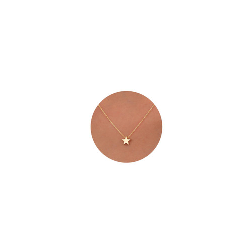 Gold Necklace for Women,Dainty Gold Necklace 14k Gold Filled Simple Star Pendant Necklace Jewelry Everyday for Girls Gold Necklace for Women,Dainty Gold Necklace 14k Gold Filled Simple Star Pendant Necklace Jewelry Everyday for Girls