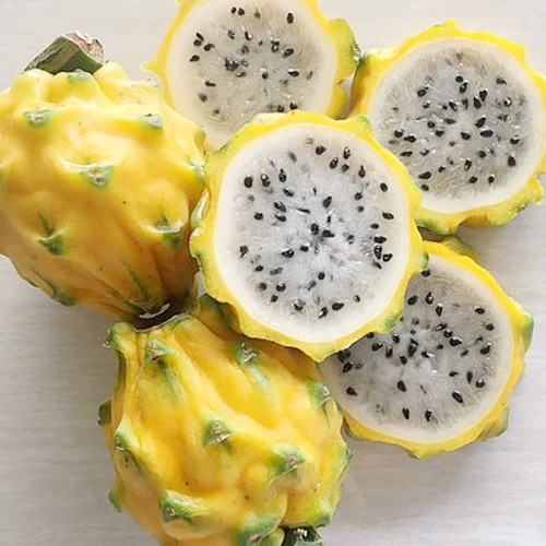 Dragon Fruit Seeds 25 Yellow Pitahaya Pitaya Seeds, Non-GMO Heirloom Fruit Seeds, Highly Nutritious Delicious Perennial Fruits Plant for Garden Home