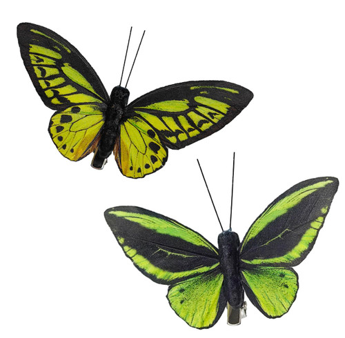 Wandelande Ornithoptera Priamus; Green Feather Butterfly with Clips; Home Decor; Party Decor; 6 Pieces with Clips