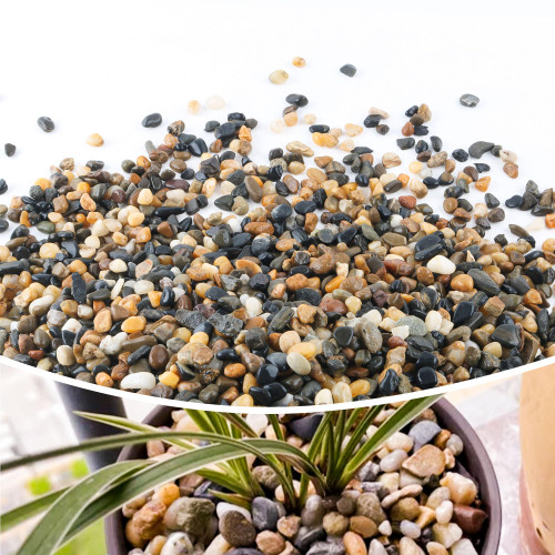 2.4lb 1/2" Pebbles for Plants Potting,Succulents Aquarium Fish Tank Vases-Decorative River Rocks Garden Gravel Stones 2.4lb 1/2" Pebbles for Plants Potting,Succulents Aquarium Fish Tank Vases-Decorative River Rocks Garden Gravel Stones