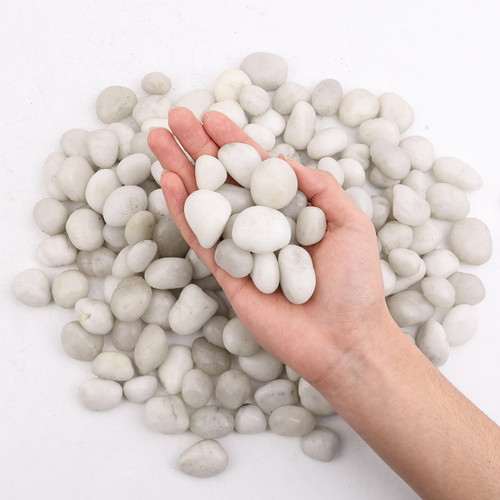 2 LB Cream White River Rocks(1.5~2.5 Inches) White Rocks for Plants,Decorative Stones,Fish Tank Rocks,Vase Fillers,White Pebbles,Aquarium Gravel,Pebbles,River Rock,Decorative Stones,Rocks 2 LB Cream White River Rocks(1.5~2.5 Inches) White Rocks for Plants,Decorative Stones,Fish Tank Rocks,Vase Fillers,White Pebbles,Aquarium Gravel,Pebbles,River Rock,Decorative Stones,Rocks