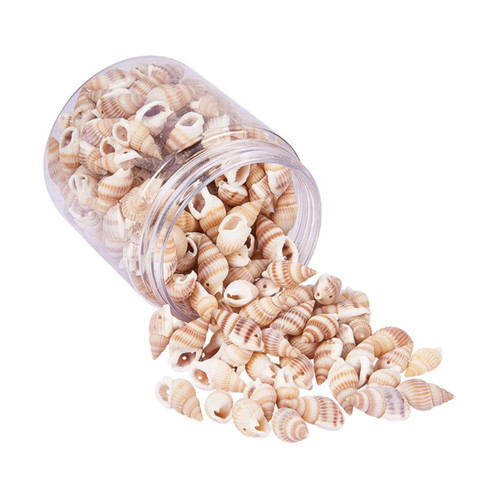 Ocean Beach Candle Making Seashells Mini Sea Animals Spiral Seashells Fish Tank Seashells Craft Seashells Tiny Sea Shell Ocean Decor Vase Filler Pool Party Nonporous Bead