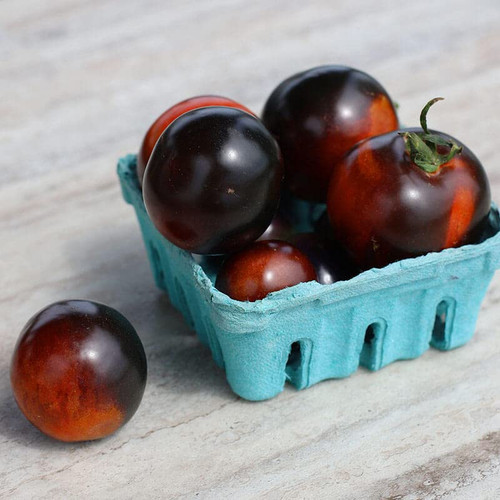Tomato Seeds - Indigo Rose Variety Seeds - Untreated - Variety Seeds - Non-GMO - 100 Seeds Tomato Seeds - Indigo Rose Variety Seeds - Untreated - Variety Seeds - Non-GMO - 100 Seeds