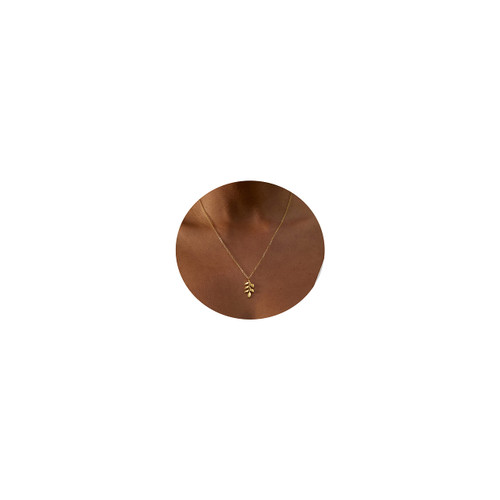 Gold Leaf Necklaces for Women Dainty Necklace Olive Branch Necklace 14K Gold Filled Small Leaf Pendant Necklace Simple Chain Jewelry Gift Gold Leaf Necklaces for Women Dainty Necklace Olive Branch Necklace 14K Gold Filled Small Leaf Pendant Necklace Simple Chain Jewelry Gift
