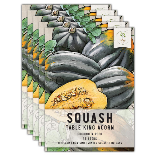 , Table King Acorn Winter Squash Seeds - 45 Heirloom Seeds for Planting Cucurbita Pepo - Non-GMO & Untreated Vegetable for an Outdoor Garden (5 Packs)