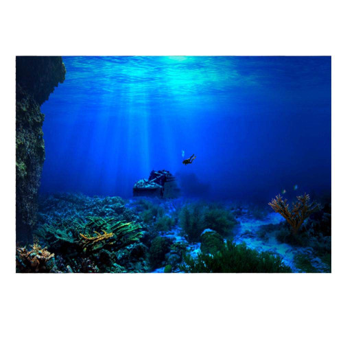 Seaworld Aquarium Background, PVC Adhesive Double Sided Poster Sticker Fish Tank Decoration(61 x 30cm)