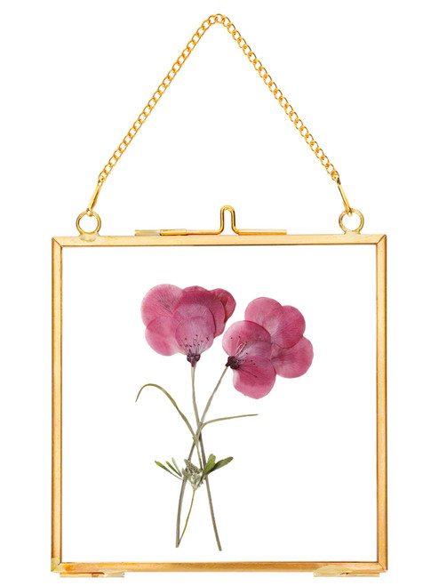 Glass Pressed Flower Frames,Vintage Hanging Picture Frames with Chain,Handmade Brass Floating Picture Frame,Plant Specimen Wall Ornament Display Artwork DIY Family Photo,Square,Gold,4x4 Inches