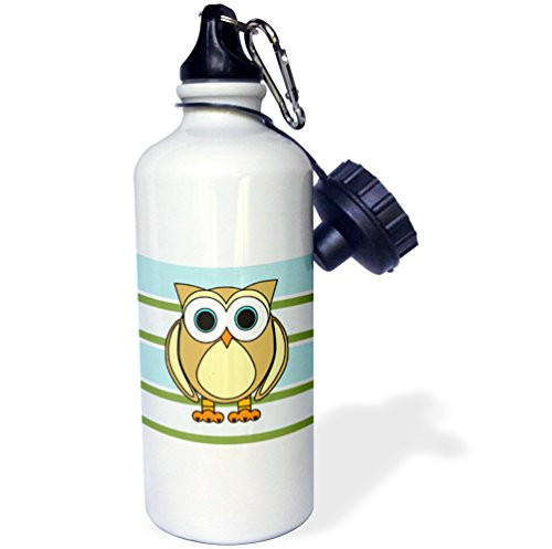 3dRose wb_28538_1"Cute Owl Blue Green Stripe" Sports Water Bottle, 21 oz, White 3dRose wb_28538_1"Cute Owl Blue Green Stripe" Sports Water Bottle, 21 oz, White
