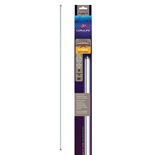 Coralife HOT5 Replacement Lamp 6,700K, 39 Watt 36"