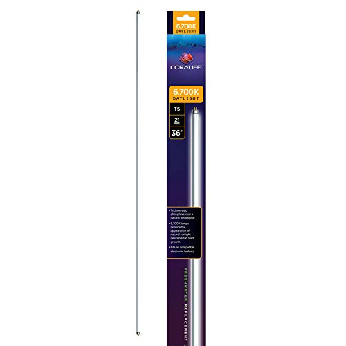 Coralife T5 Replacement Lamp 6,700K, 21 Watt 36"