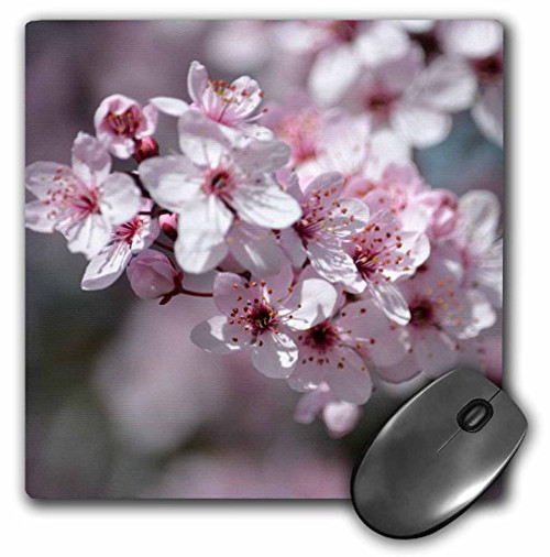3D Rose"Spring Cherry Blossoms" Matte Finish Mouse Pad - 8 x 8" - mp_179137_1 3D Rose"Spring Cherry Blossoms" Matte Finish Mouse Pad - 8 x 8" - mp_179137_1