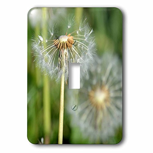 3D Rose lsp_192855_1 Spring Dandelion-Single Toggle Switch