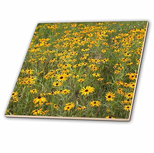 3dRose ct_3133_4 Black Eyed Susan Ceramic Tile, 12-Inch 3dRose ct_3133_4 Black Eyed Susan Ceramic Tile, 12-Inch