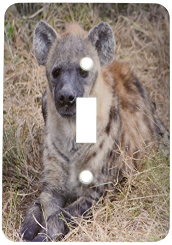 3dRose lsp_20114_1 South African Hyena Front View Single Toggle Switch