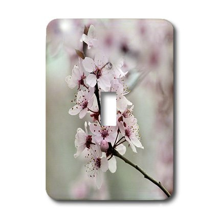 3dRose lsp_47226_1 Pretty Spring Toggle Switch