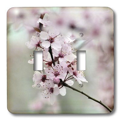 3dRose lsp_47226_2 Pretty Spring Toggle switch